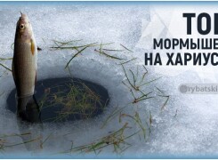 Рейтинг уловистых мормышек на хариуса зимой