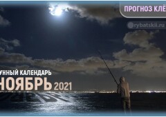 Лунный календарь рыболова на ноябрь 2021 года и прогноз клева на каждый день