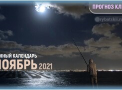 Лунный календарь рыболова на ноябрь 2021 года и прогноз клева на каждый день