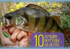 Самые уловистые вертушки для ловли окуня и как выбрать рабочую блесну