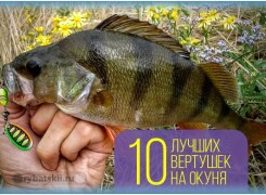 Самые уловистые вертушки для ловли окуня и как выбрать рабочую блесну