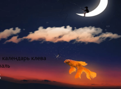 Лунный календарь рыболова на февраль 2023