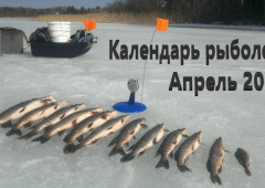 Лунный календарь рыбака на апрель 2024 года