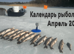 Лунный календарь рыбака на апрель 2024 года
