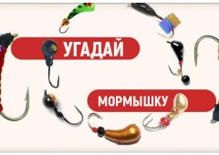 Тест рыбака на знание мормышек