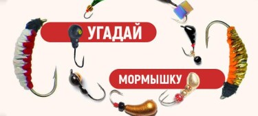 Тест рыбака на знание мормышек