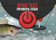 Тест на знание ловли судака зимой