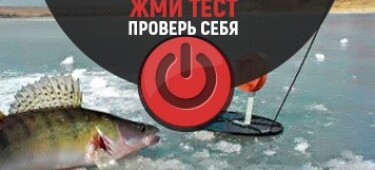 Тест на знание ловли судака зимой