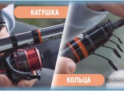 Как выбрать лучшее болонское удилище и оснастить под разные условия ловли