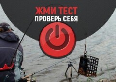 Тест на знание фидерной рыбалки