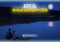 Лунный календарь рыболова на апрель 2022 года и прогноз клёва по фазам луны