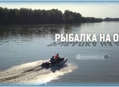 Рыбалка на реке Обь и тактика ловли разных видов рыбы