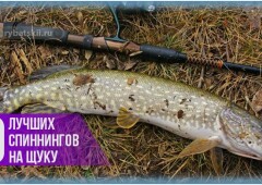 Какой спиннинг выбрать для ловли щуки и топ 10 лучших моделей