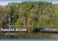 Рыбалка весной и тактика ловли рыбы в весенний период