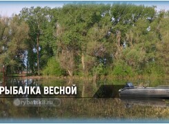 Рыбалка весной и тактика ловли рыбы в весенний период