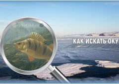 Как найти окуня зимой на озере и реке