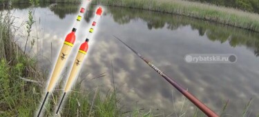 Тест по поплавочной рыбалке и оснастке