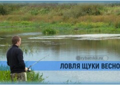 Как поймать щуку весной и подготовиться к рыбалке