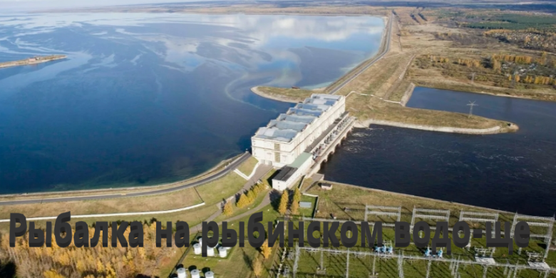 Рыбалка на рыбинском водохранилище: лучшие места