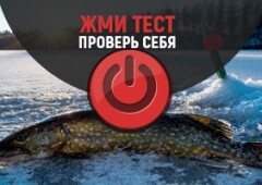 Тест на знание ловли щуки зимой