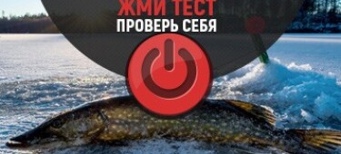 Тест на знание ловли щуки зимой