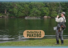 Рыбалка в Раково в 2024 году