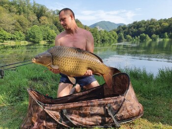 Фото огромного карпа на 19 килограмм