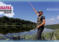 Лучшие бесплатные и платные места для рыбалки в Орловской области