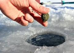 Зимняя прикормка для рыбалки