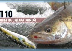 Раттлины и вибы для зимней рыбалки на судака