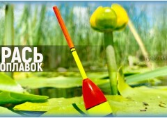 Рыбалка на карася с поплавочной удочкой и секреты удачной ловли