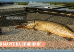 Рыбалка на щуку в марте по открытой воде