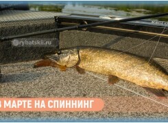 Рыбалка на щуку в марте по открытой воде
