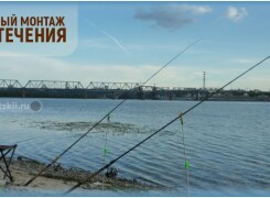 Фидерные оснастки для ловли на течении и монтажи для реки