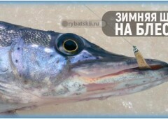 Зимняя рыбалка на щуку с блесной со льда