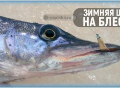 Зимняя рыбалка на щуку с блесной со льда