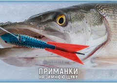 Уловистые приманки для ловли щуки зимой