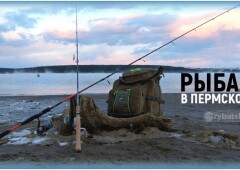 Лучшие места для рыбалки в Перми и Пермском крае