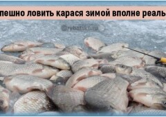 Ловля карася зимой со льда и подготовка снастей