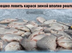 Ловля карася зимой со льда и подготовка снастей