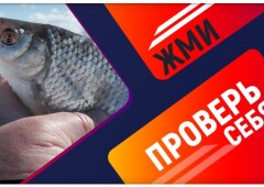 Тест рыбака на знание зимней ловли плотвы