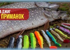 Джиговая ловля щуки и рейтинг лучших приманок для рыбалки