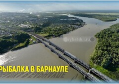 Где порыбачить в Барнауле в лучших рыбных местах для рыбалки