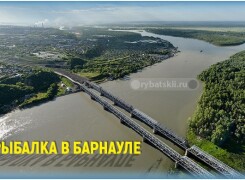 Где порыбачить в Барнауле в лучших рыбных местах для рыбалки