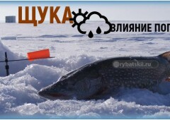 В какую погоду лучше клюёт щука зимой и при каком давлении