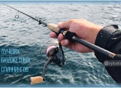 Топ лучших недорогих спиннингов для начинающих и любителей