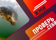 Тест: угадайте рыбу по фрагменту на фото