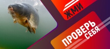Тест: угадайте рыбу по фрагменту на фото