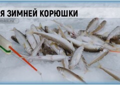 Подлёдный лов корюшки и оснастка зимней удочки для рыбалки