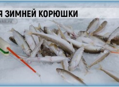 Подлёдный лов корюшки и оснастка зимней удочки для рыбалки
